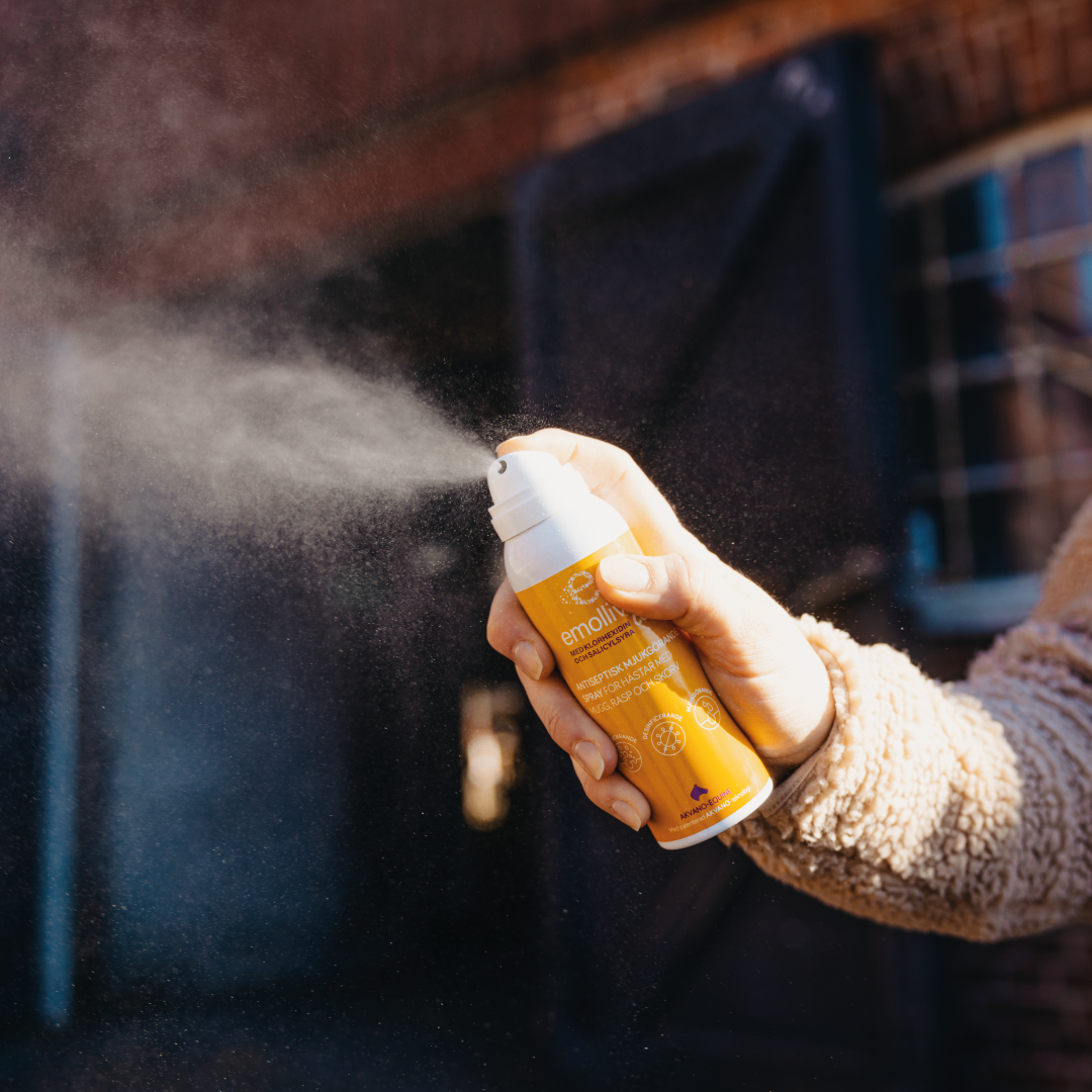 
                  
                    Emollivet COMBI - Spray für Pferde bei Mauke, Raspe und Schorf
                  
                