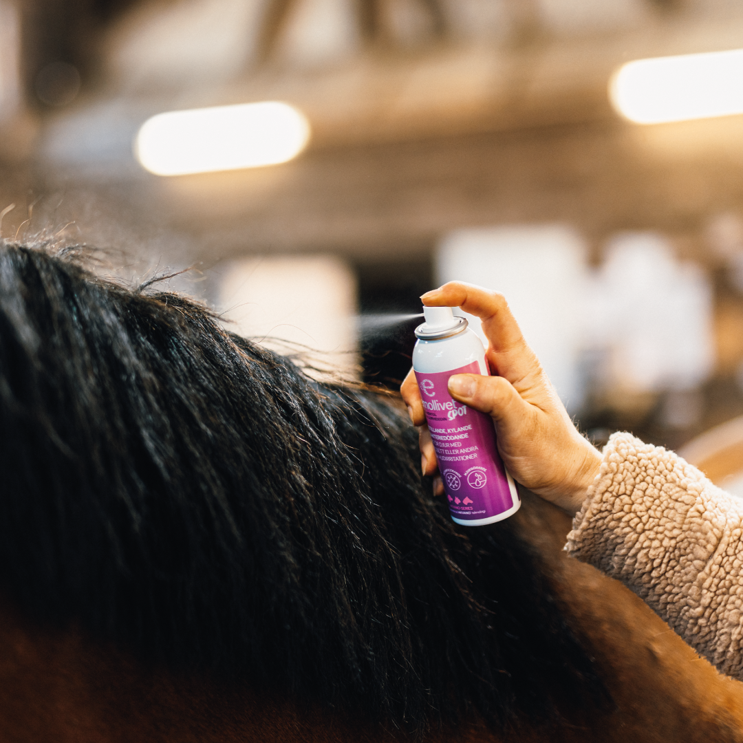 
                  
                    Emollivet SPOT - Juckreizlinderndes und antibakterielles Spray für Pferde und Hunde
                  
                
