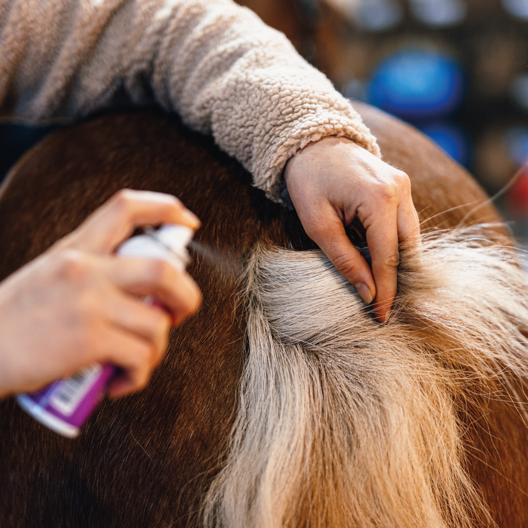 
                  
                    Emollivet SPOT - Juckreizlinderndes und antibakterielles Spray für Pferde und Hunde
                  
                