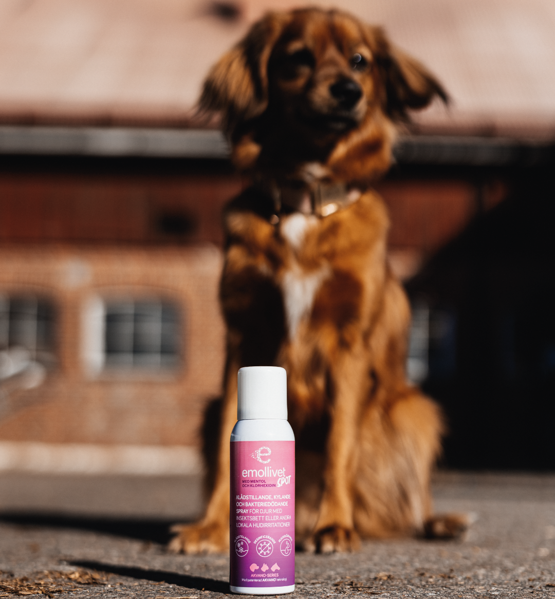 
                  
                    Emollivet SPOT - Juckreizlinderndes und antibakterielles Spray für Pferde und Hunde
                  
                
