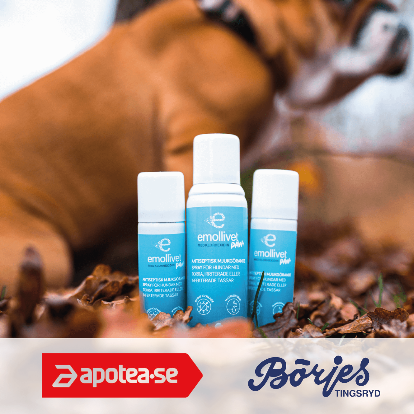 
                  
                    Emollivet PAW+ Spray für Hunde mit trockenen, gereizten oder infizierten Pfoten
                  
                
