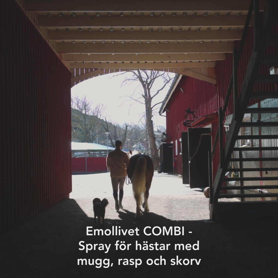
                  
                    Laden und Abspielen von Videos im Galerie-Viewer, Emollivet COMBI - Spray für Pferde bei Mauke, Raspe und Schorf
                  
                